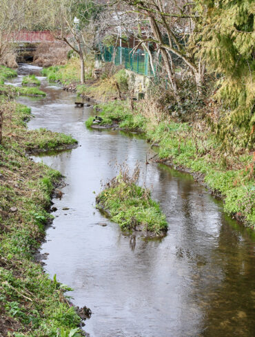 Photo de la renaturation du Muhlbach