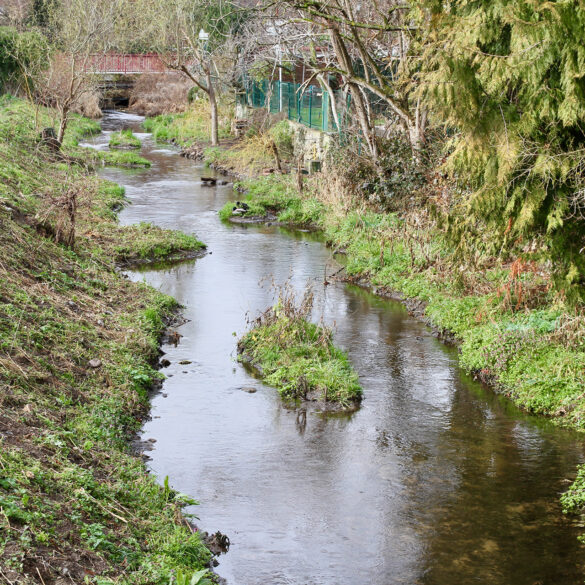 Photo de la renaturation du Muhlbach