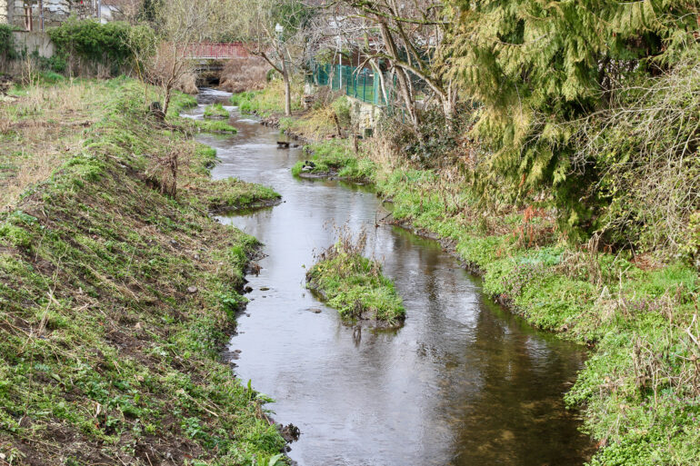 Photo de la renaturation du Muhlbach