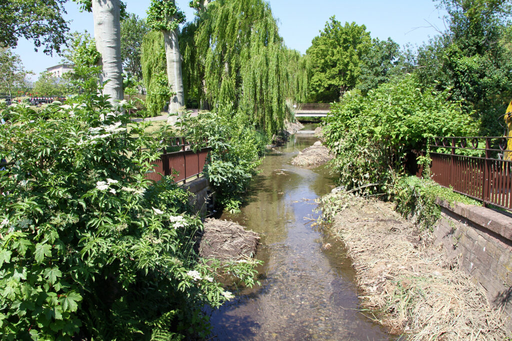 Restauration écologique du cours d'eau du Brennbaechlein - après les travaux