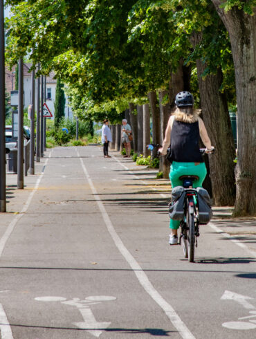 Piste cyclable dans le quartier Sud de Colmar
